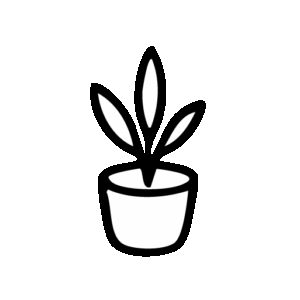 Complementos Complementos